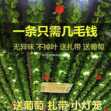 �����~�b��ٗl�G�~�҃�����ڳ�ܵ���피پGֲ�ٻ�����