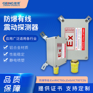 Gejing Explosion-Proof Vibration Intrusion Detection Alarm Intelligent Displacement Sensor Detector Alarm System Dual Detection