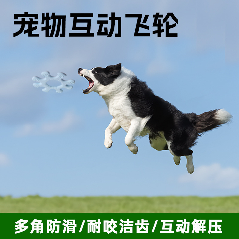 跨境宠物飞盘训狗互动宠物玩具户外训练硅胶软飞盘耐咬一件代发|undefined