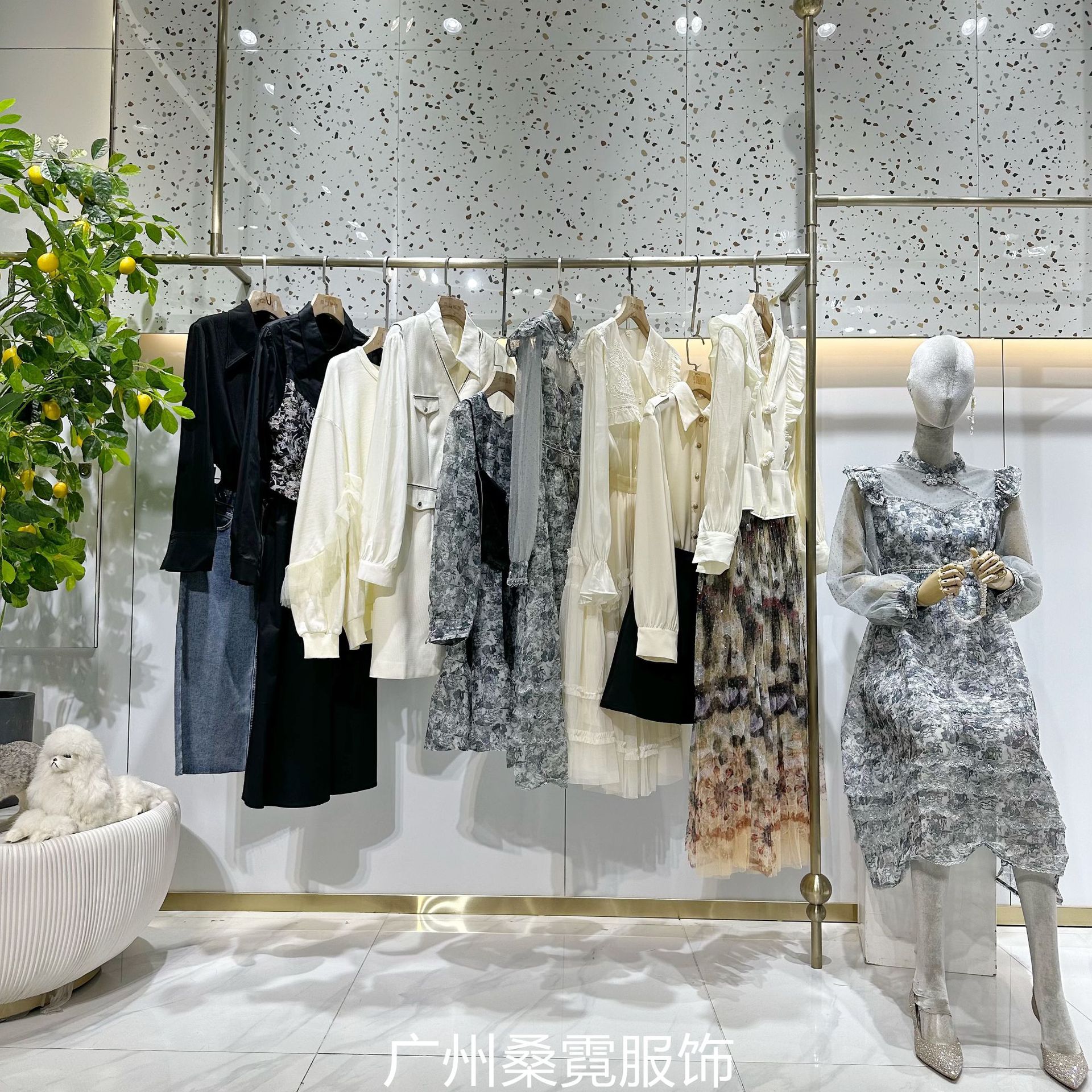 微信图片_20240112091421