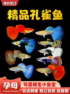 ��ȸ�~��ˮ̥���~���w���B��ˮ���~С�͟Ꭷ�^�p�~��Ʒ���N�Pβ�~
