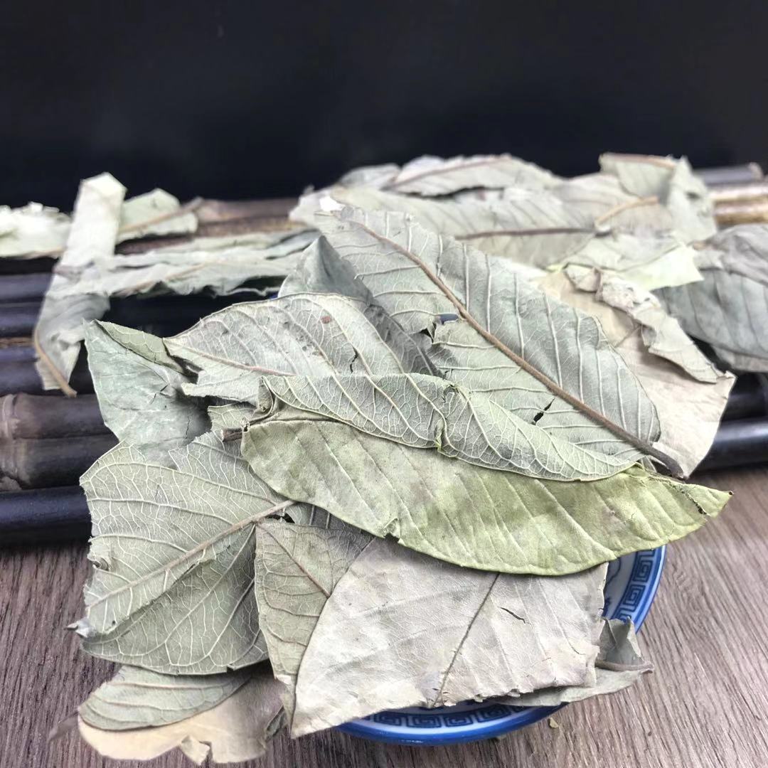 Guava Leaf Tea 番石榴叶 Fan Shi Liu Ye Dried Herbal Tea Leaves 500g for Daily Brew quality and texture