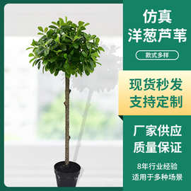 网红ins仿真琴叶榕盆栽园林绿化盆景室内客厅落地盆栽绿色假植物
