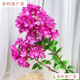 ��֧��ޱ���ٻ����ϻ��҃���ݘ����bٻ�����ܛ�b�ٻ�֦