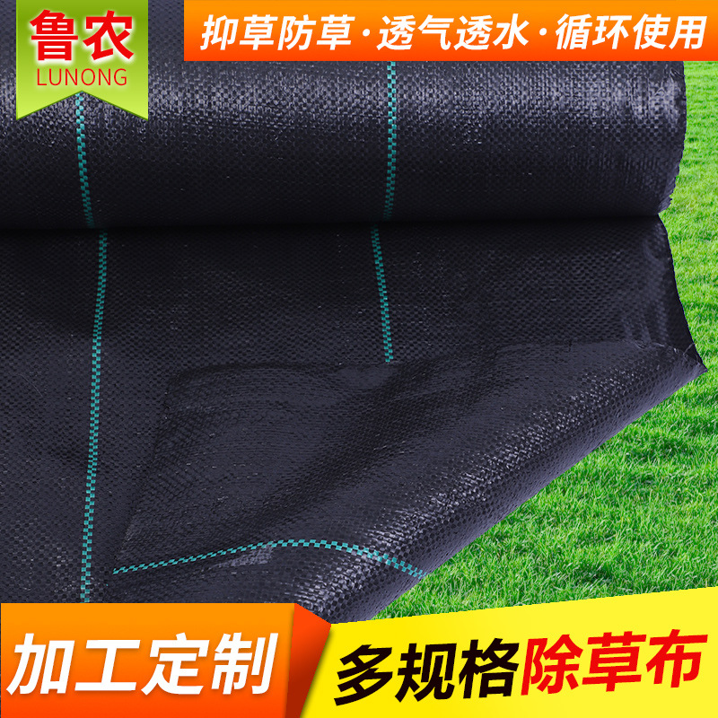 鲁农园林防草布大棚地布农用除草布加厚pp黑色防草布园艺地布批发