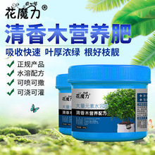 ����ľ���Ԍ��àI�B�ʺ���ľ����Ƥ���~��ľ���~��������ľ�辰��