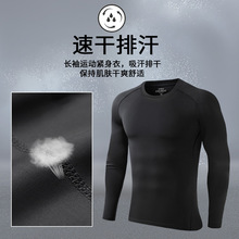 运动紧身衣男速干内衣打底春秋跑步T恤篮球骑行弹力健身训练长袖
