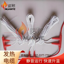 智能分室控温 电地暖自限温系统静音运行 畜牧养殖用 暖烨