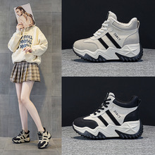 �؃r��}8871-2����2025���ļ��ٴ�͹��Lܛ�����eЬ���ŮЬ
