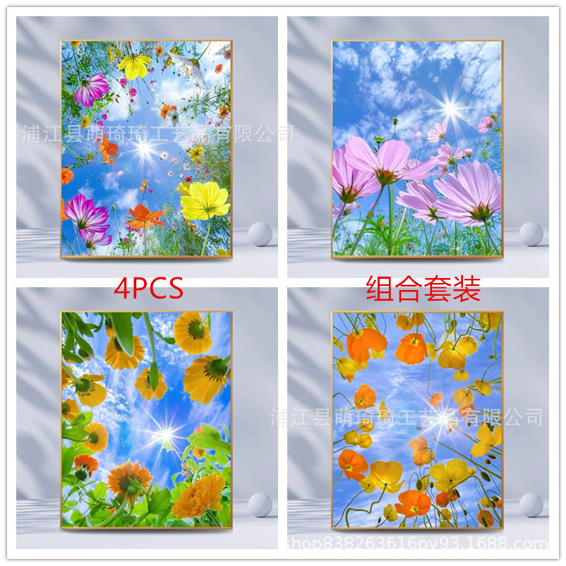 跨境专供组合套装diy钻石画5d满钻阳光下的花草十字绣客厅装饰画