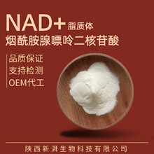 NAD+ 脂质体NAD70% 烟酰胺腺嘌呤二核苷酸 磷脂纳米包埋nad脂质体