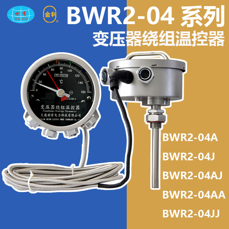 BWR204 变压器绕组温度计 绕组温控器 大连世有 仪器仪表 国产 台