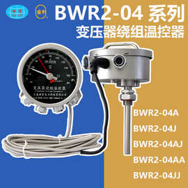 BWR204 变压器绕组温度计 绕组温控器 大连世有 仪器仪表 国产 台