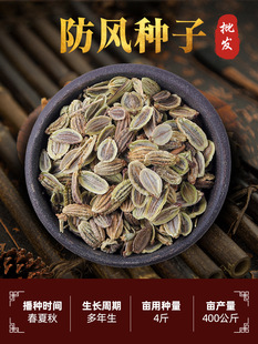 ���L�N�ӷ��L����ș�ķN�Ѱ��]�ļ��Nֲ�̨�����S�ή��w�۹��N��