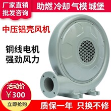 ���ɷ��CZ-LD550W���ǵ���������ʽ�ķ����ѹ���220vͨ�绻��