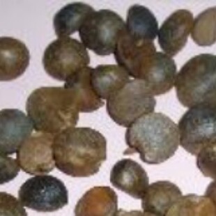 ���l�����Ͳ��硢���Ә䡢���͘䡢�׻����L�ּt���Ͳ�С��ֲ��