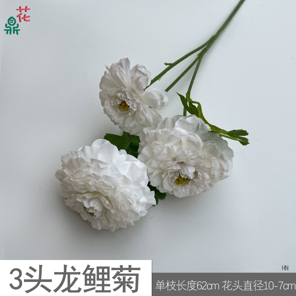 용동국화 3개 HN 화이트
