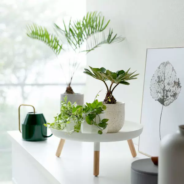 日本山崎yamazaki桌面置物架铁艺水果盘零食盘简约多肉植物托盘