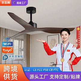 风扇灯;吸顶灯;吊灯