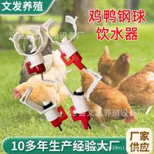 乳头式鸡鸭用饮水器全自动方圆管水线卡式钢球配件专用节水