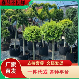 һ�����l����Ϟ����~Ůؑ����Ůؑ�����ǘ���e��ͥԺ���͘�����