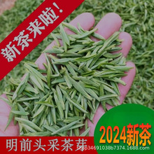 2024年新茶开园头茶毛尖茶嫩芽高山礼盒装2罐300克