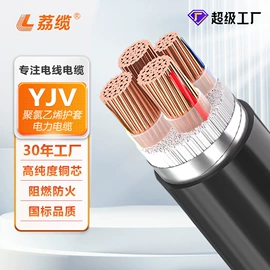 绝缘导线;电力电缆