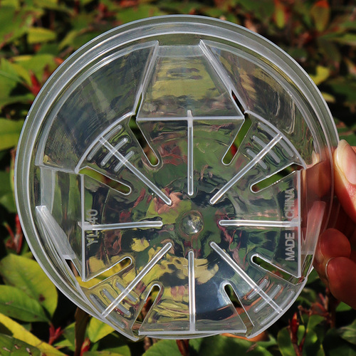 New Style Transparent Root-Controling Qing Shan Pot Breathable Phalaenopsis Pot Flower Gardening Pot Dendrobium Orchid Heat-Resistant Planting Pot Wholesale