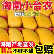 ��������С̨�r�������̨�rââ��Ƥ�������o�z��֭���r���l