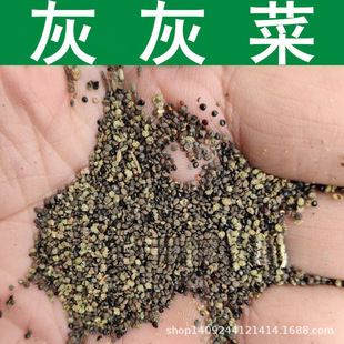 �羳�N�� ��ɫ�˷N�� �һҲ˷N�� ޼ Ұ�Ҳ˷N�� ��ޤ�^�� ��=��