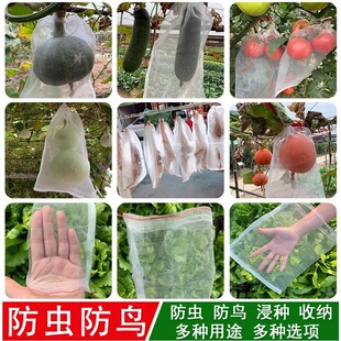 �״�������B���x�W�������o�o�������N�V�W�z�����Ӽ���͸�����