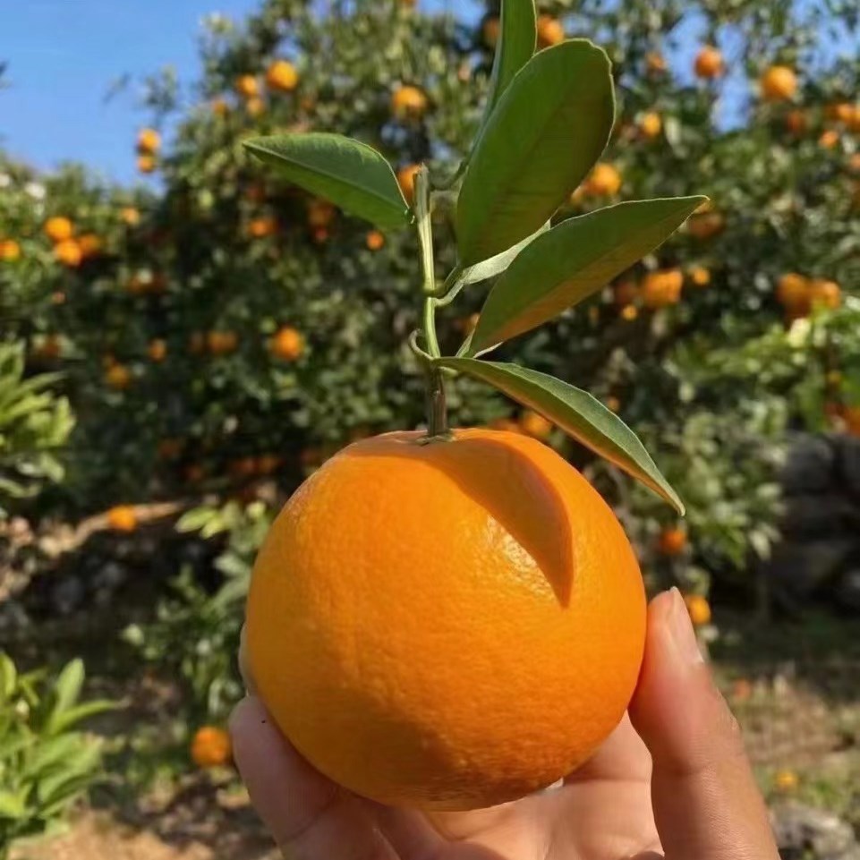 微信图片_20231011213107