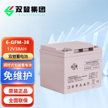 双登蓄电池6-GFM-38 阀控式铅酸免维护12V38AH直流屏EPSUPS太阳能