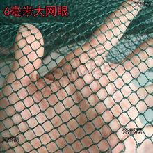 �����O�W���ϾW�䲻���~�~�׸��x�W̧�~�W�~�\�D�ϴ������ǾW�۲�