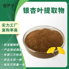 行业精选源头工厂银杏黄酮24%内酯6%现货散装批发银杏叶提取物