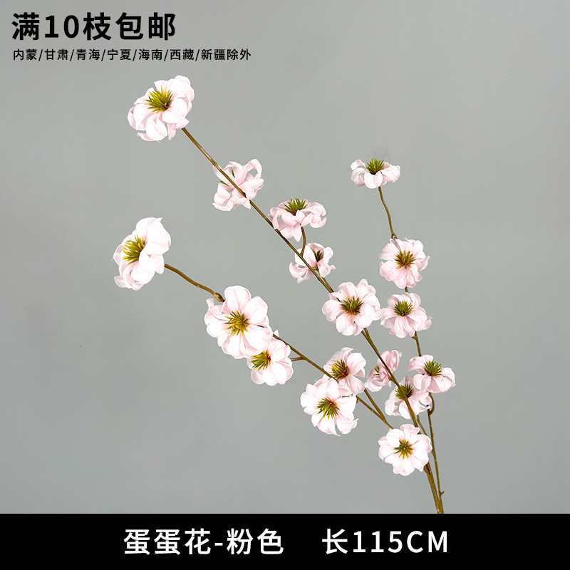 Dandanhua "new arrival recommendation"