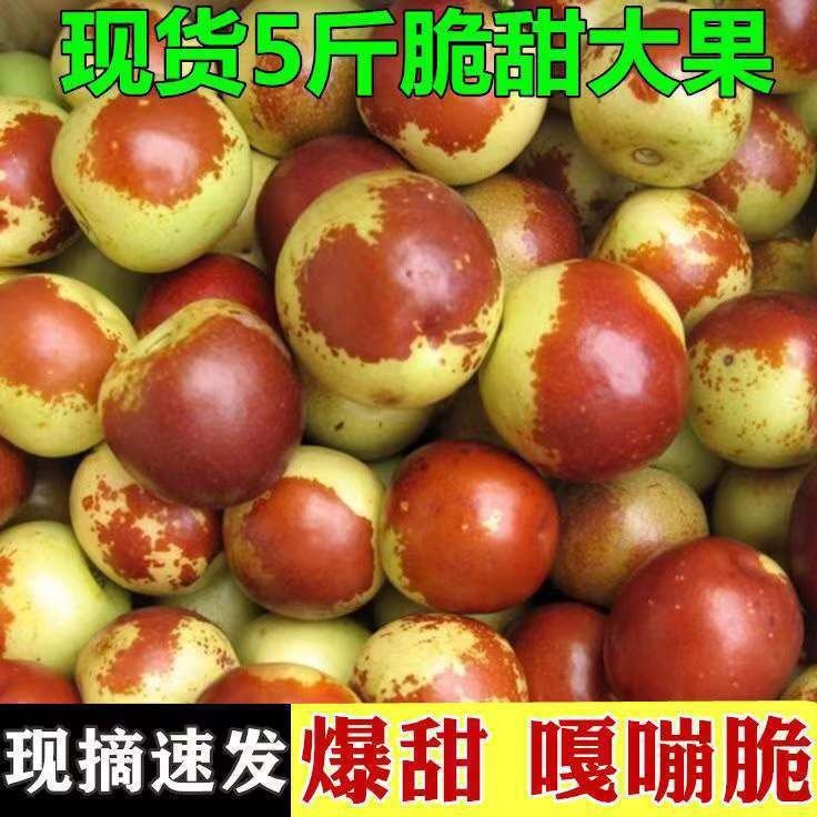 【顺丰包邮】山东沾化冬枣新鲜当季水果整箱脆甜红枣子大枣3/5斤