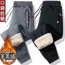 厂家直销冬季羊羔绒长裤子休闲长裤男加绒加厚男束脚运动裤男