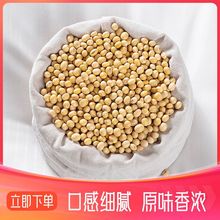 东北黄豆打豆浆专用农家自种黑龙江新大豆生豆芽五谷杂粮豆类