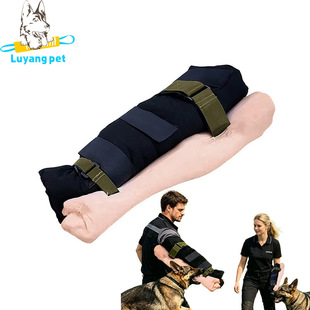 �羳ӖȮ���z��֫ҧ��ӖȮ��ҧ�乤��Ȯ����Ӗ���o��ģ�M��֫Ӗ��
