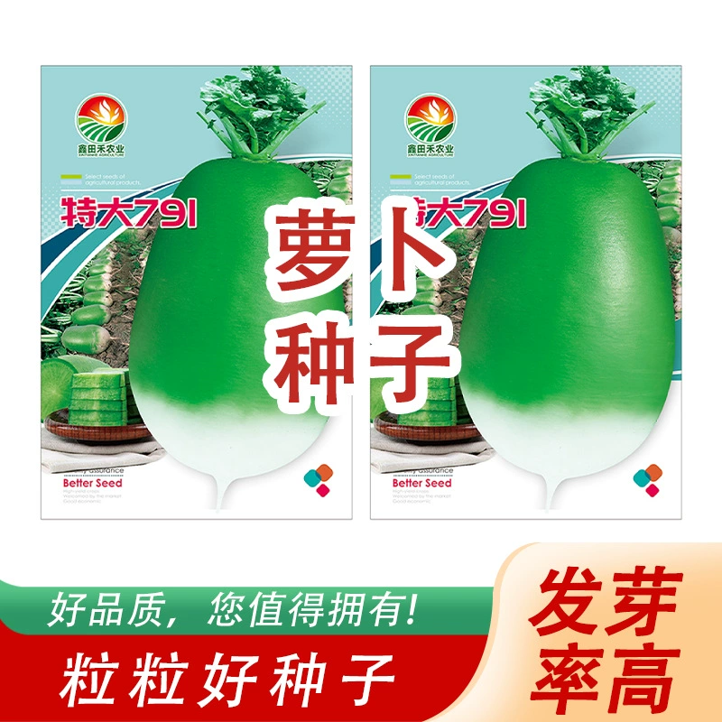 Семена моркови дают свежие желтые хрустящие сладкие семена моркови для всевременного посева, фермерские овощи, огородные семена для двора.