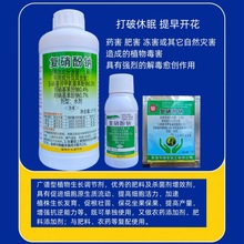 绿亨复硝酚钠促开花解药害促生根抗病害肥料农药增效剂生长调节剂