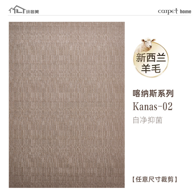 Fábrica de fuente de lana alfombra doméstica sala de estar sofá mesa de té mantas antisucias fáciles de cuidar mantas de cama personalizadas