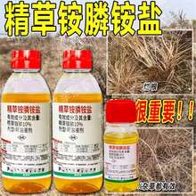 ��݄���Ҏ�����@��@�}������@���³��ݏV�VҊ�G�͚���Ӱ��²�