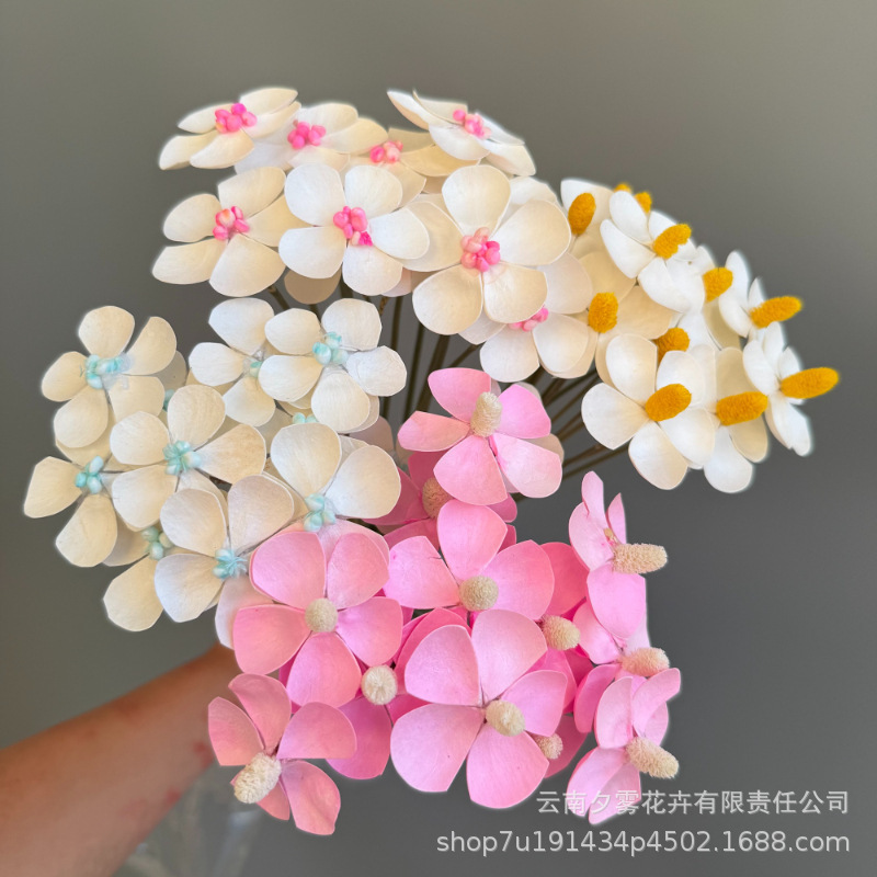 White Violet Handmade Flowers, Yunnan Dried Flowers, Eternal Flowers, Home Decor Diy, Handmade Flower Arrangements, Cross-Border Trade