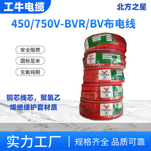 ��ţ늾���| BVR/BV���I늿�1.5/ 2.5/4/6ƽ�� �����~о���^���o