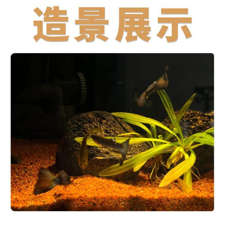 商品图