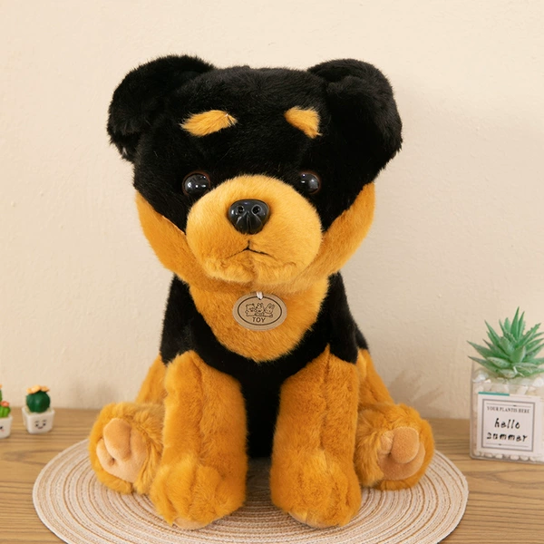 Shiba Inu