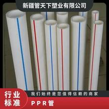 20-110家装工程ppr自来水管热熔加厚ppr管热水 厂家批发PPR管