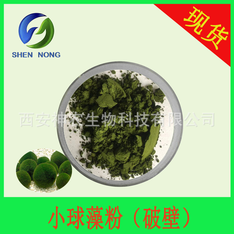 小球藻粉绿藻粉破壁小球藻提取物 蛋白核小球藻粉 厂家现货